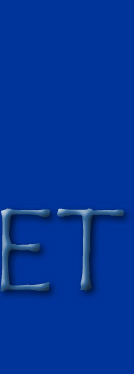 MSEnet